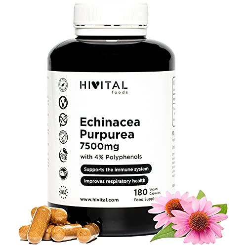 Hivital Foods Equinacea