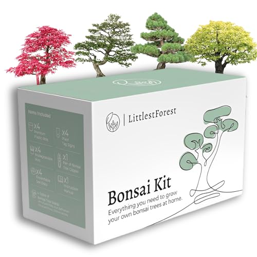 Littlestforest Bonsai